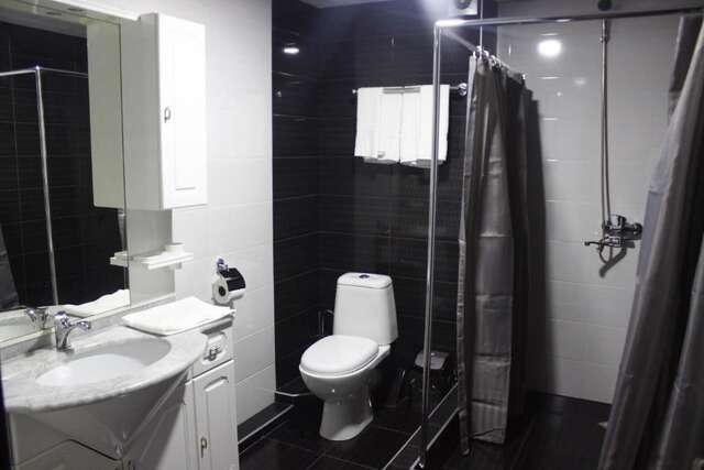 Отель New Hotel Тбилиси-50